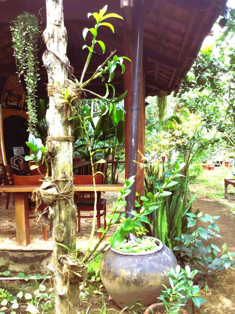 Ben Tre Farm Stay