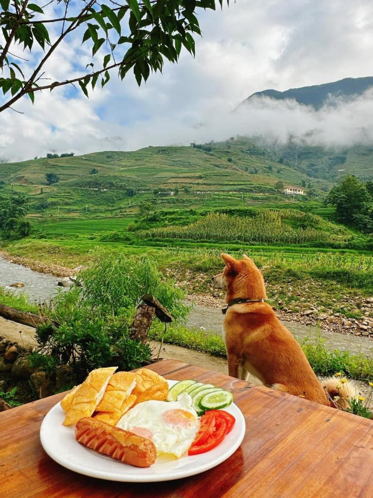 Pi Noong Cafe & Homestay