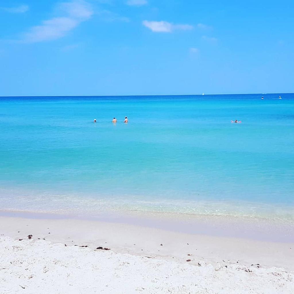 The Tides on Miami Hollywood Bay View Apartments 1B image