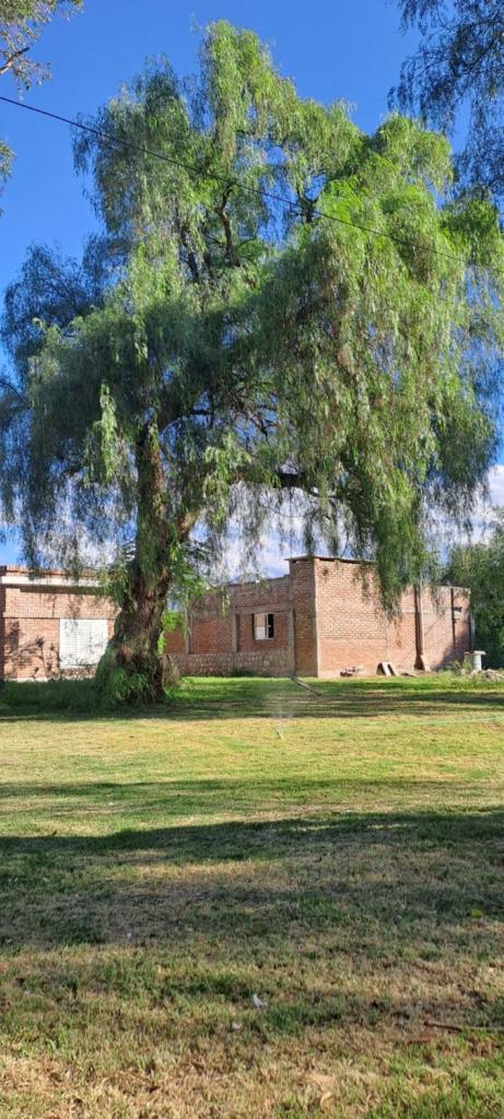 Posada Los Cerros photo 4