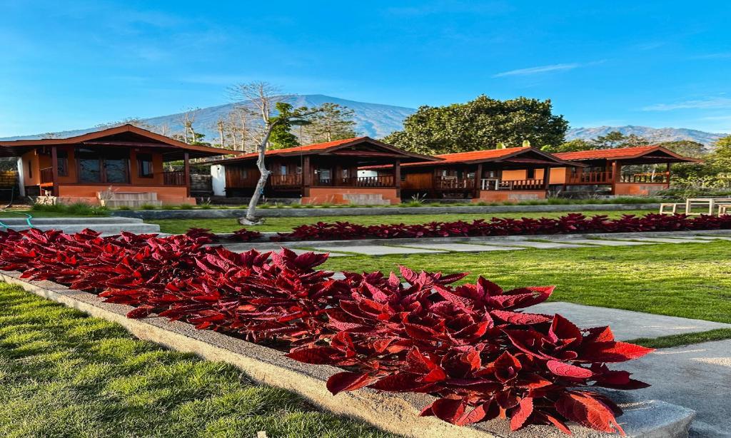 SEROJA Villa and Camping Ground