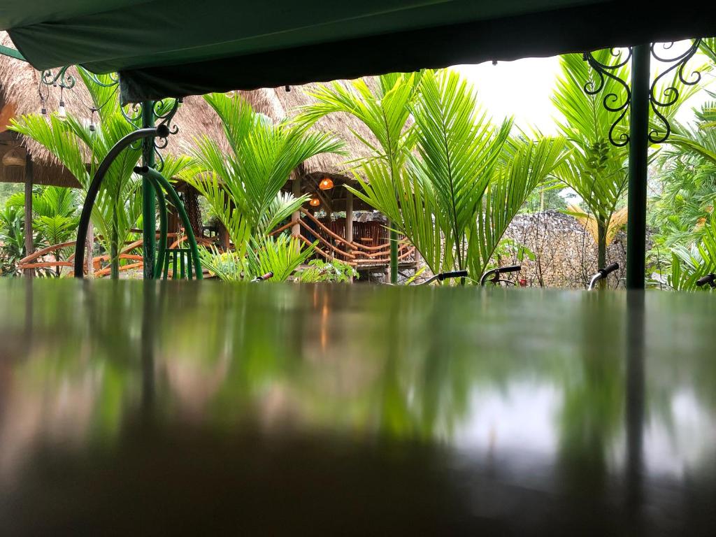 Phong Nha Mountain House