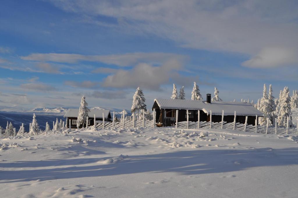 Løstegård hytter at the top of Golsfjellet Room Type - Three-Bedroom Cottage