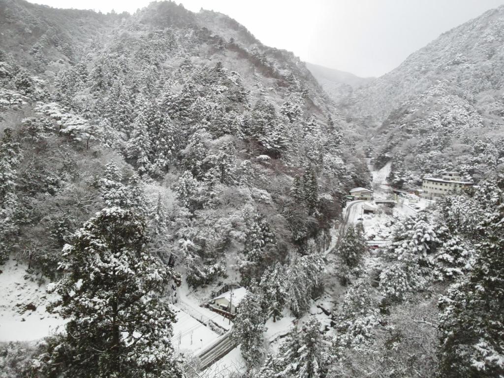 Irodori Koyo photo 2
