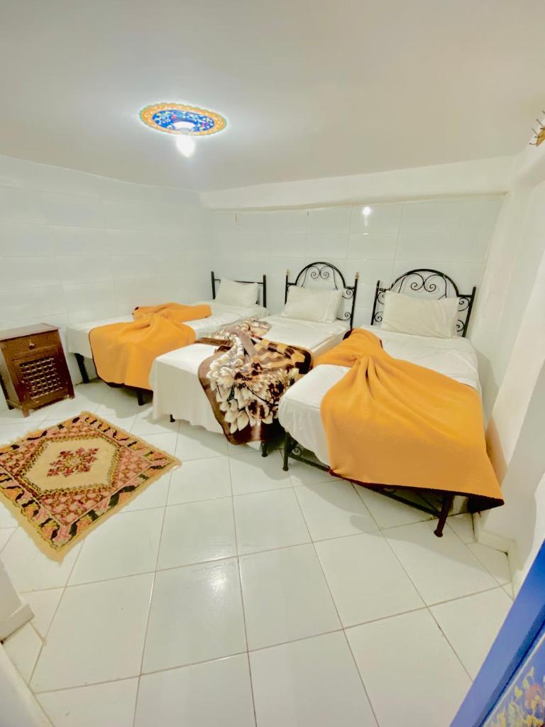 Hostel Essassi 23