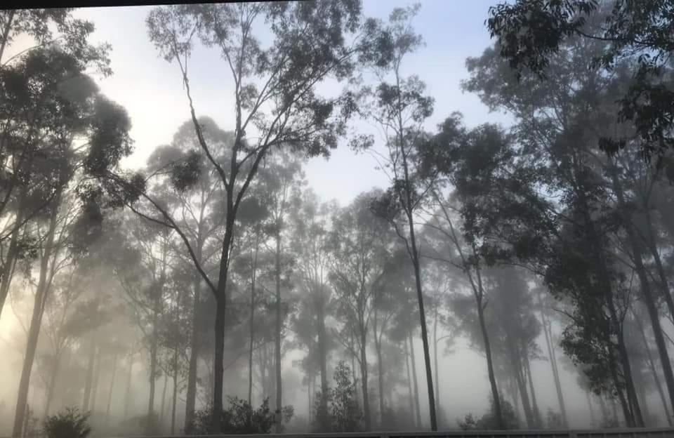 House by Lavender Lane - Forest Views, FREE Parking photo 4