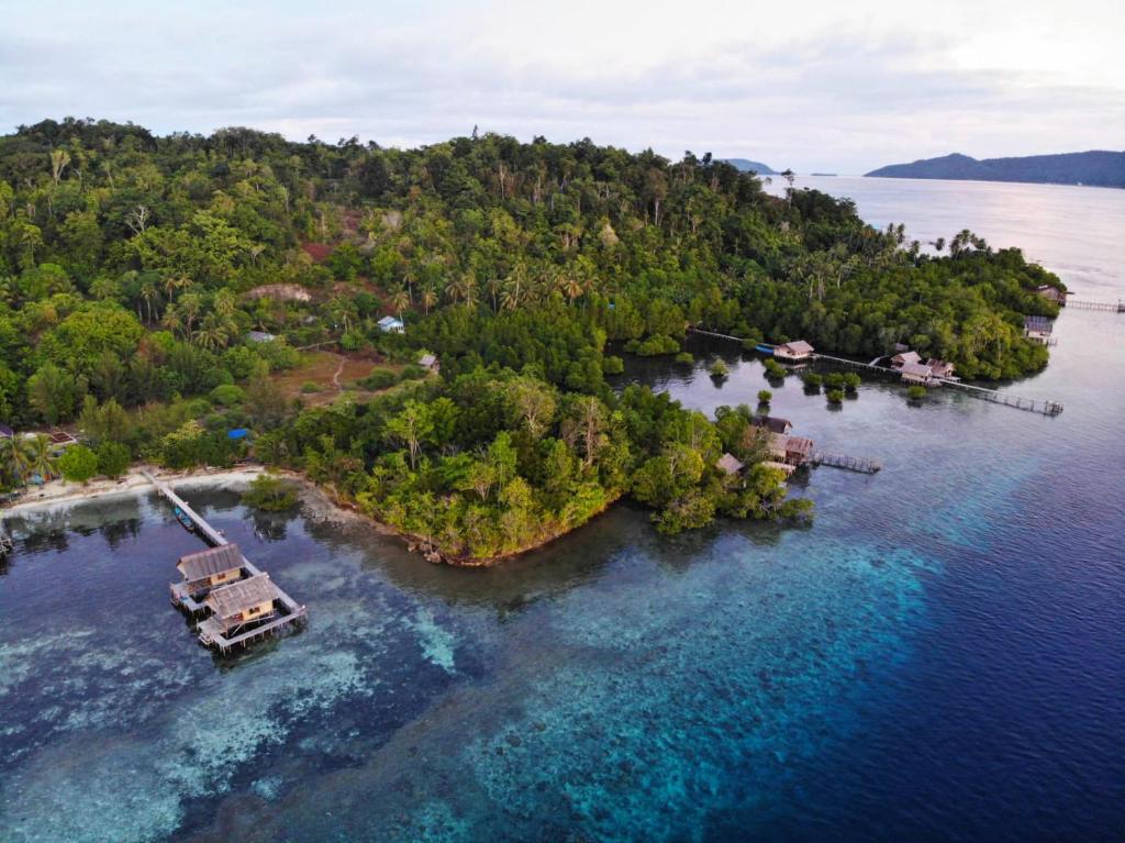 Indos Homestay-Raja Ampat photo 2