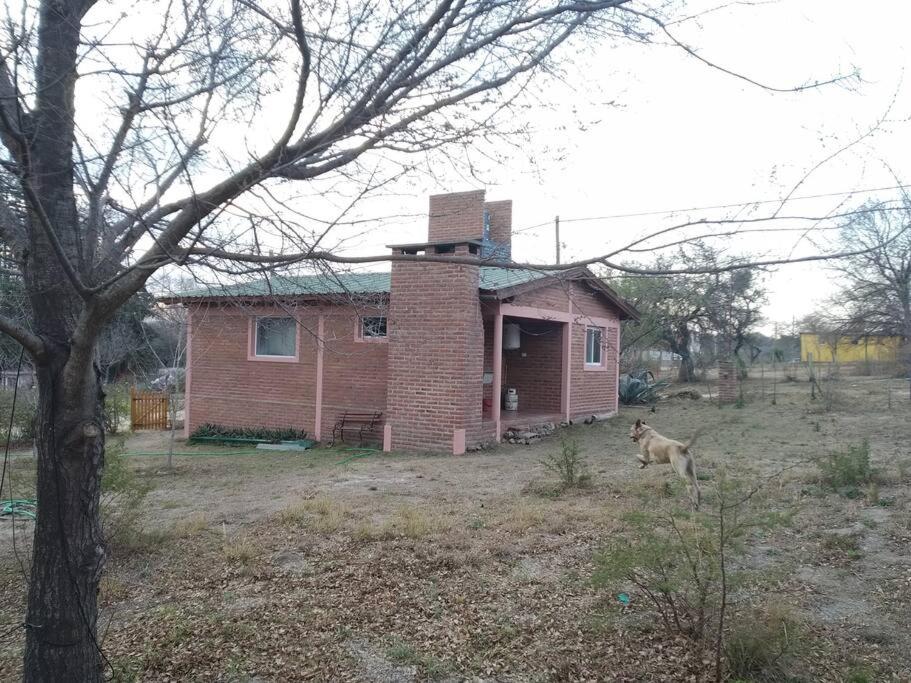 Casa con gran jardín a 100 mts del Río Amboy photo 4