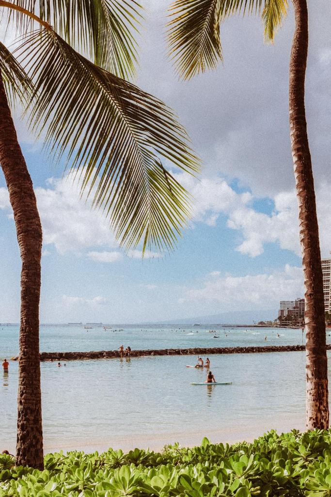 Royal Grove Waikiki - Tap to explore photos