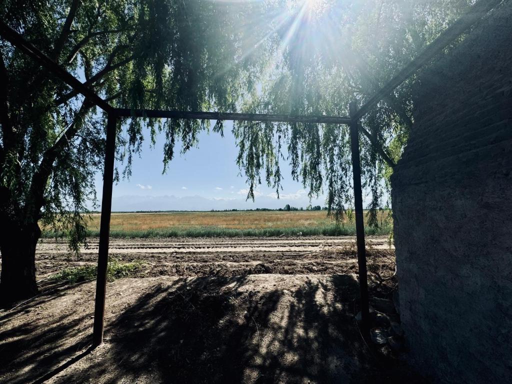 Ruca Farm photo 3