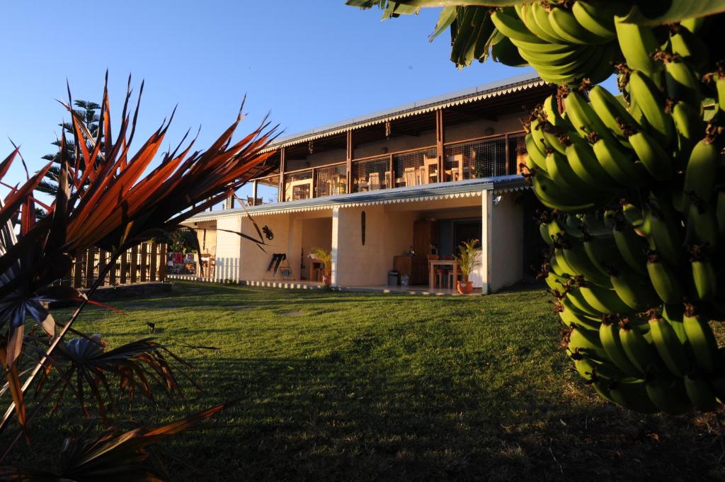 Leu Bleu Austral photo 2