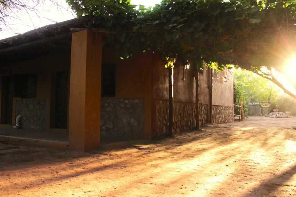 Las Jarillas de Guandacol photo 2