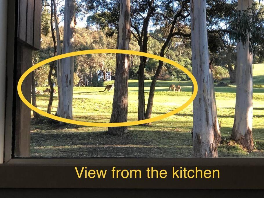 Golfview Lorne photo 4