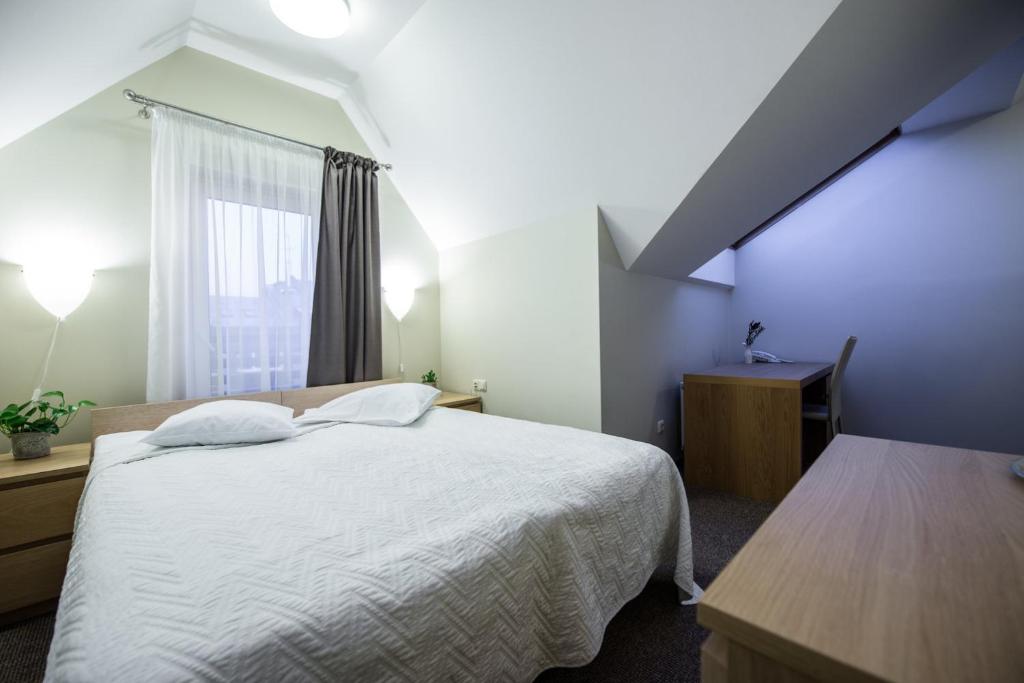 Двухместный (Двухместный номер с 1 кроватью), Hotel Audenis