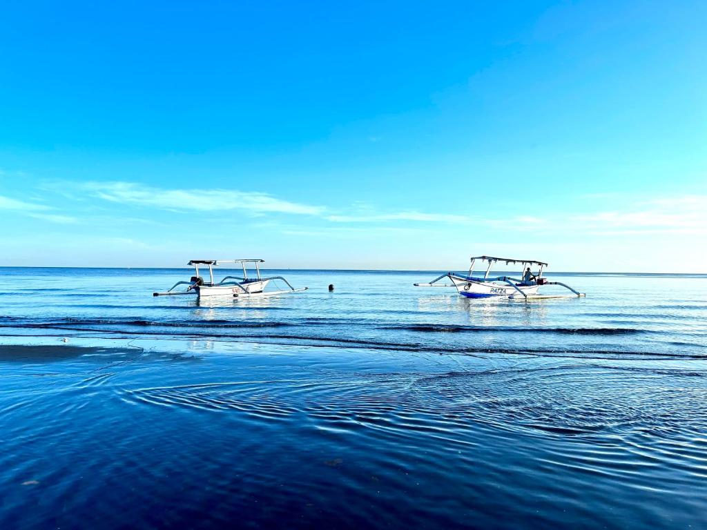 Dolphin Tour Private Villa Packet At Seririt