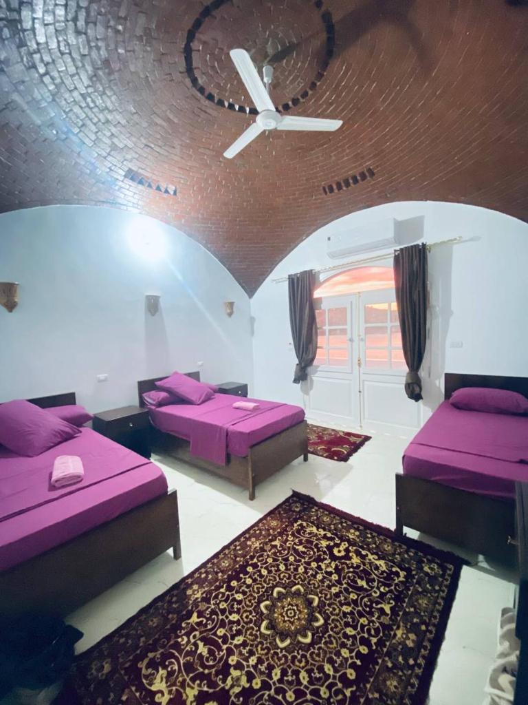 Nile View Guest House - Tap to explore photos