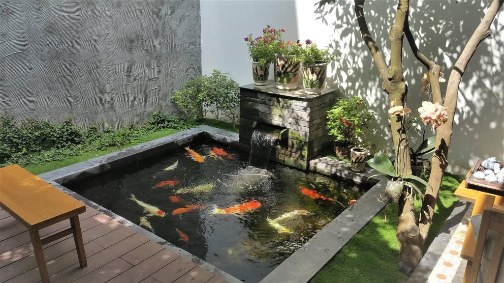 Carol House Da nang Beach