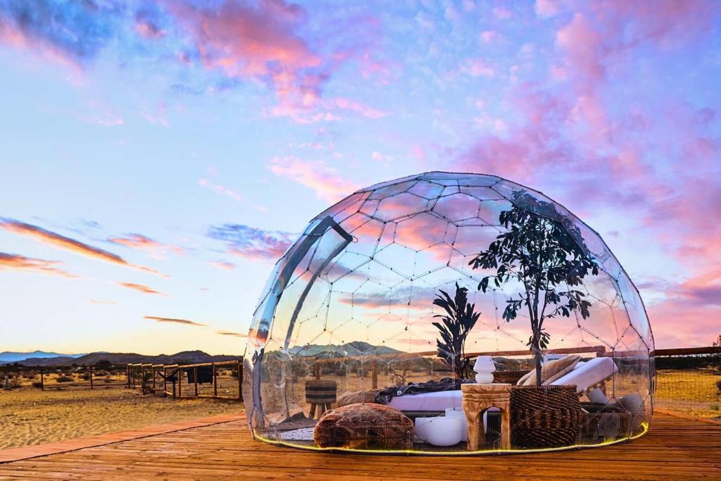 Nowhere Private Cinema, Sauna, Star Gazing Dome image