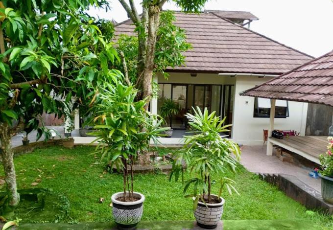Beautiful Bungalow in East Bali photo 3
