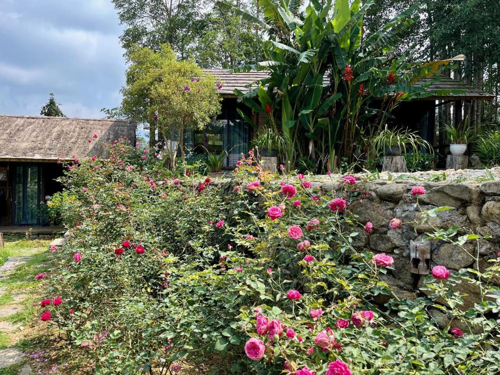 Anne House Bac Ha