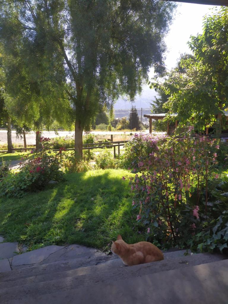 Hosteria Villa Turismo photo 4