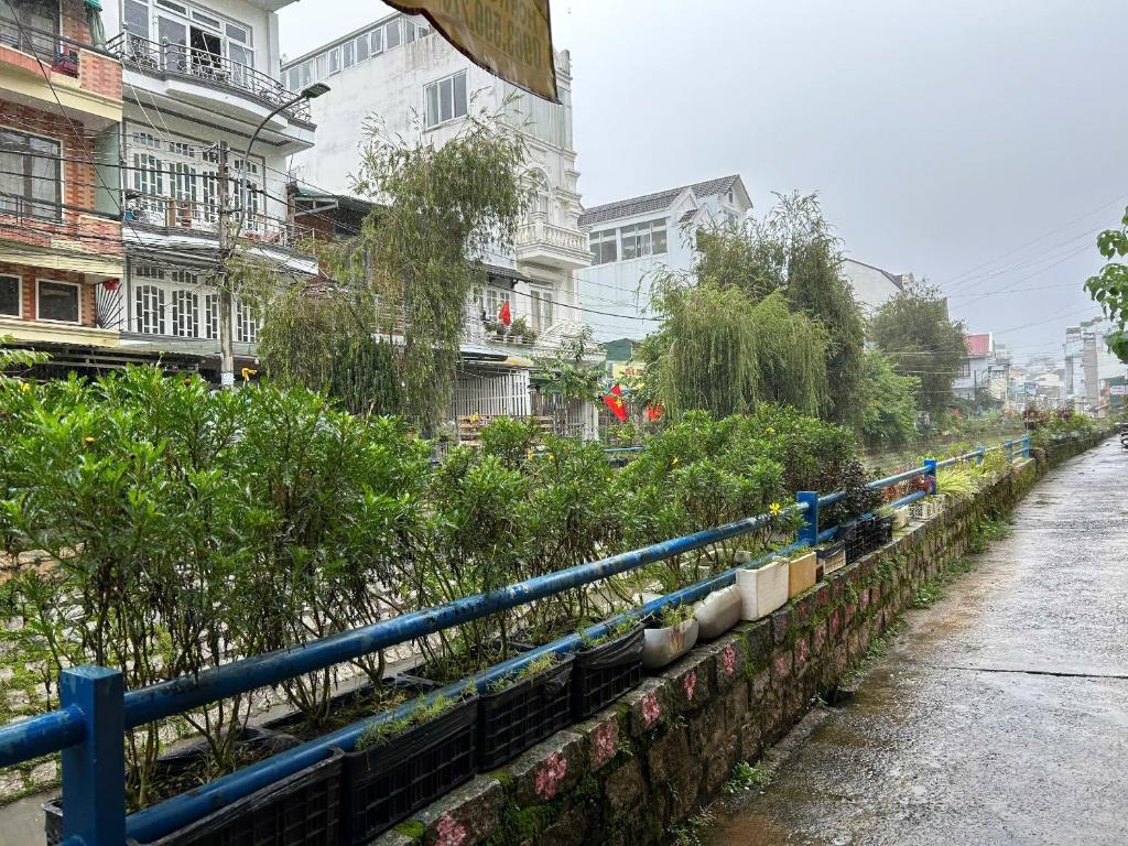 Andy Homestay Trăng Phố Đà Lạt