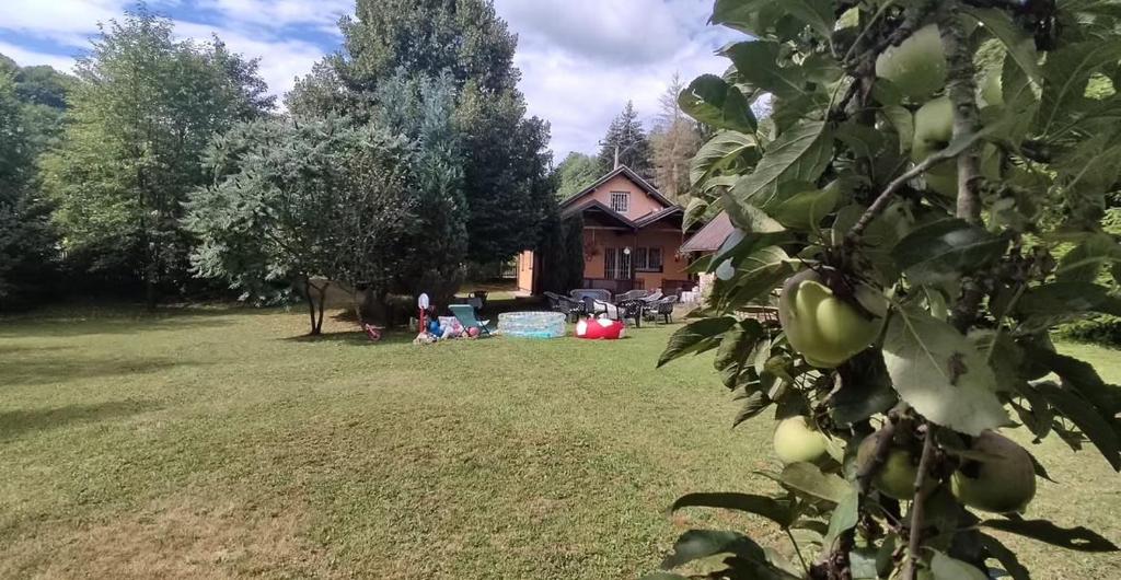 Nature house Semizovac