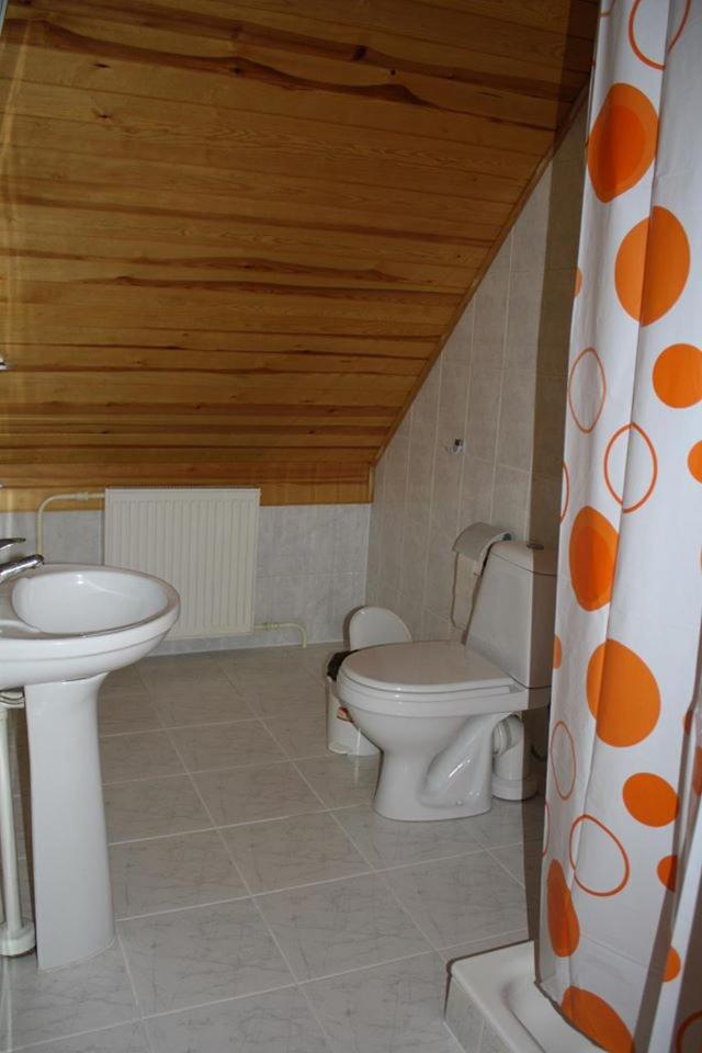 Zīriņi photo 4
