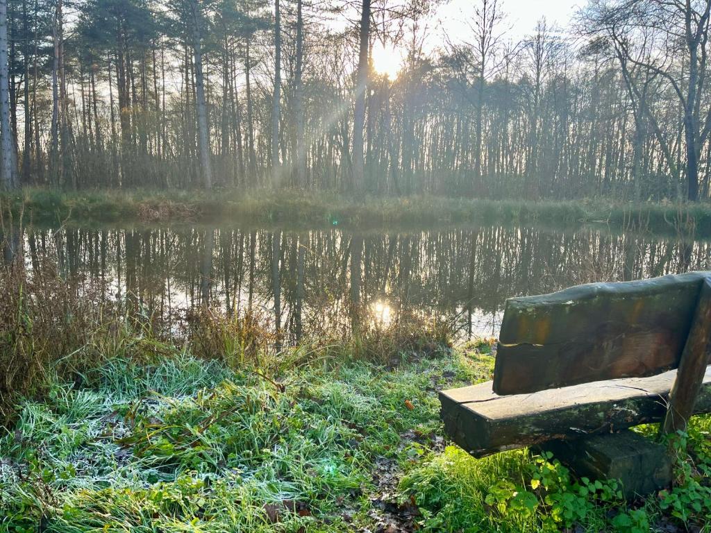 Vakantiehuis De Bosrand Goor-Asbroek photo 3
