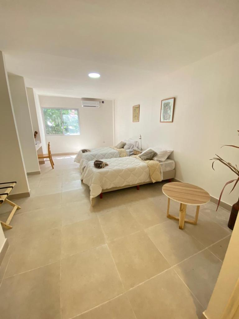 GMP Suites
