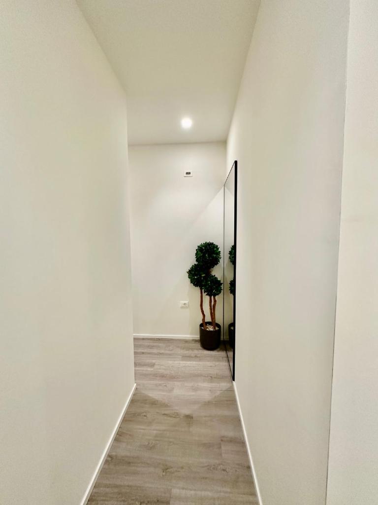 Dadu Rooms photo 1