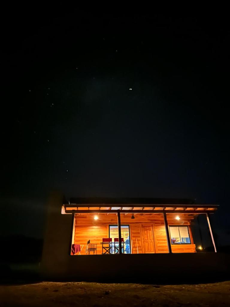 LaJu photo 3