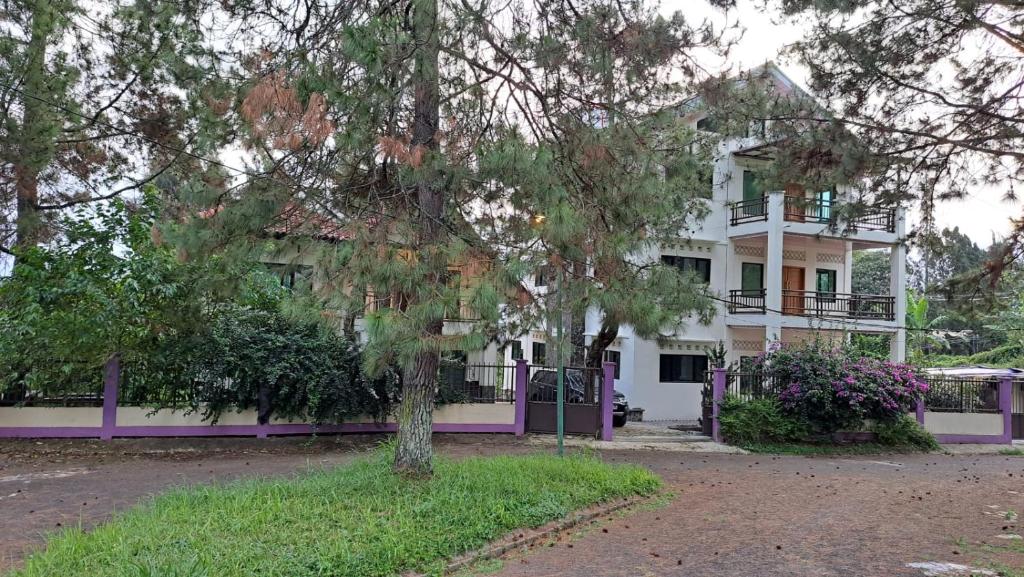 Villa 2Pinus photo 1