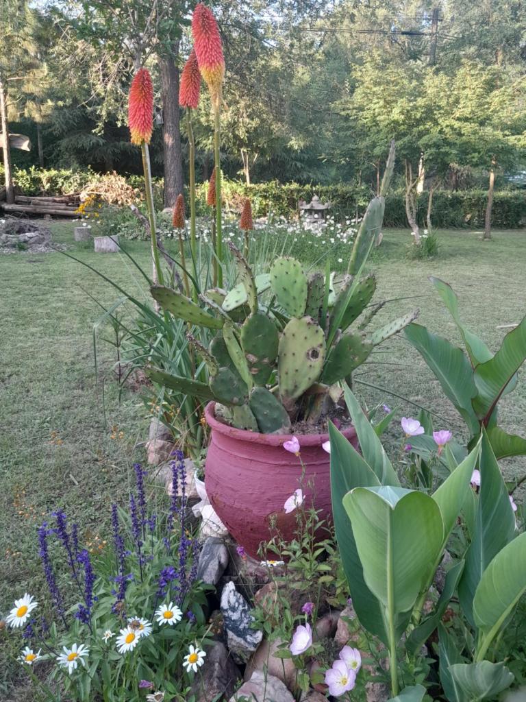 Milo Los Reartes photo 2