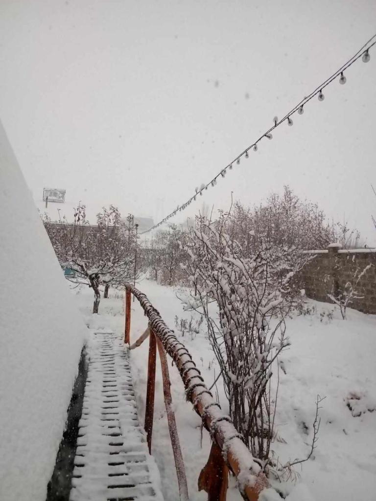 Zovaber hangsti goti photo 2