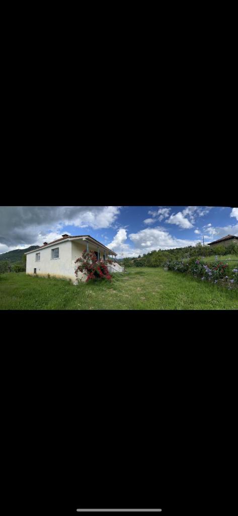 Vila Redi photo 4