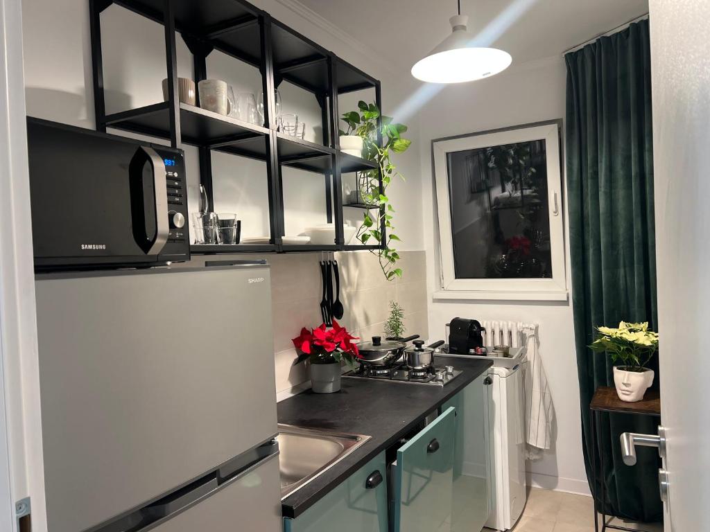 Cosy studio Floreasca Room Type - One-Bedroom Apartment