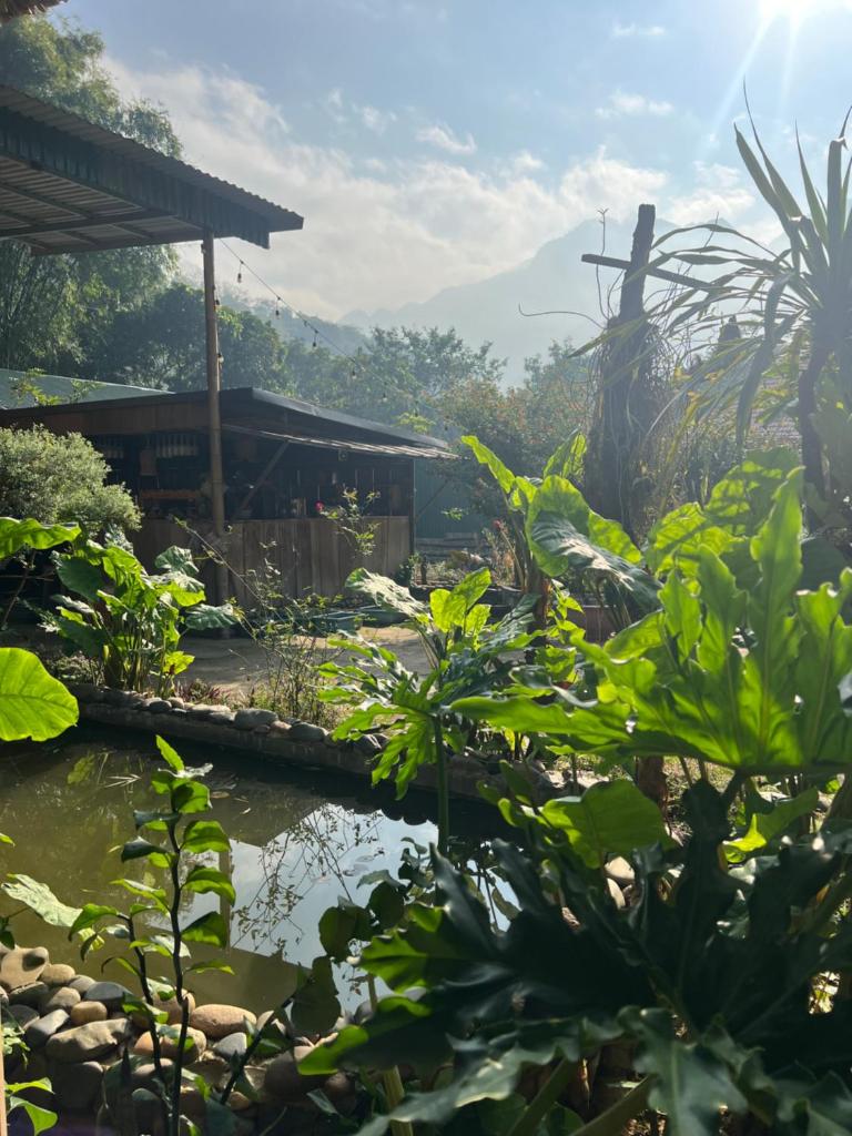 Homestay nhà của chi food&coffee