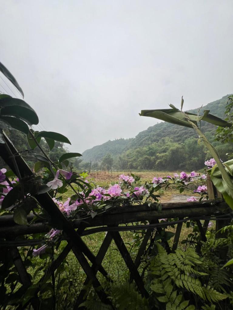 Homestay nhà của chi food&coffee