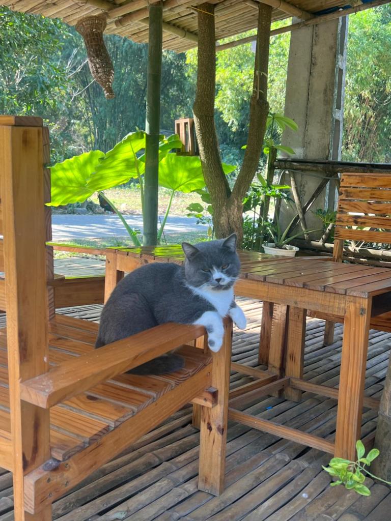 Homestay nhà của chi food&coffee