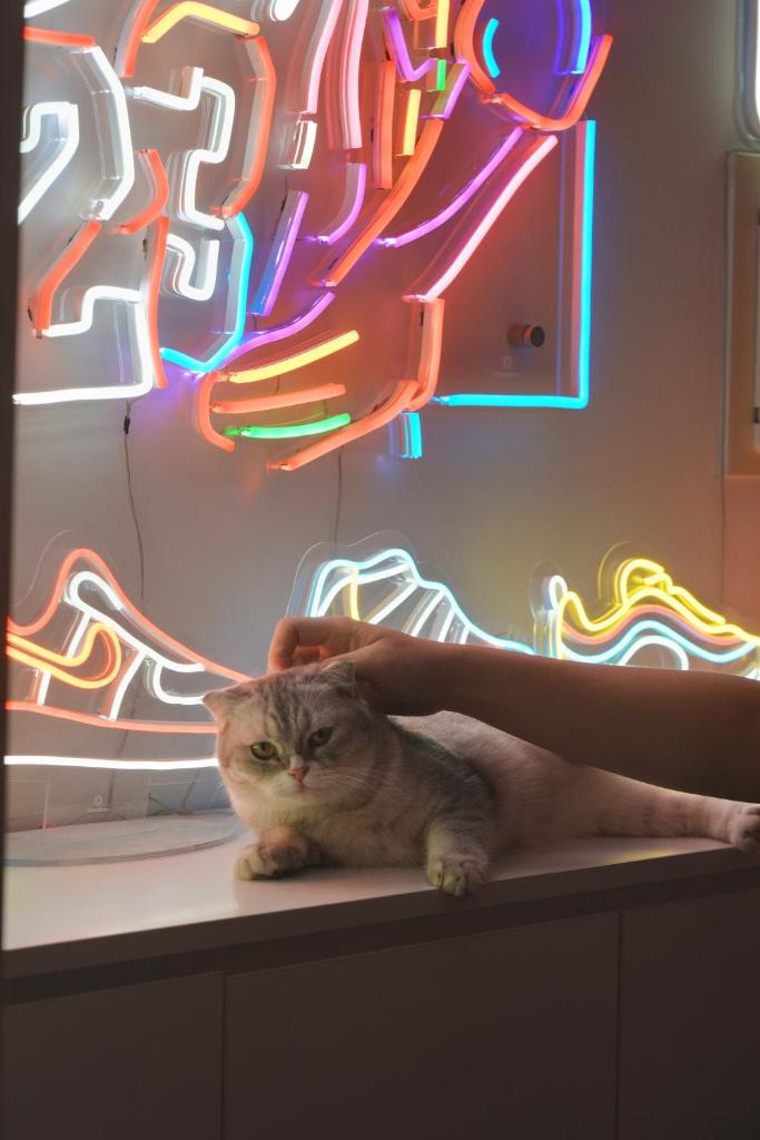 ALOHA Homeplay Tay Ho - Shared APT