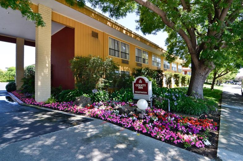 County Inn image