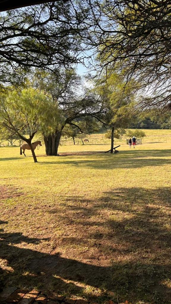 Casa campo San Ignacio photo 1