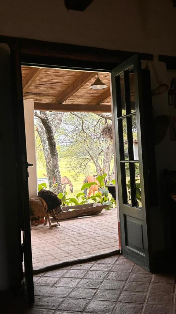 Casa campo San Ignacio photo 3