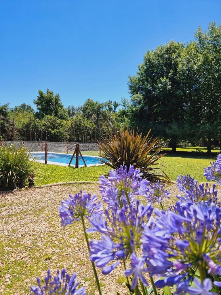 El Charanguito Casa Quinta photo 4