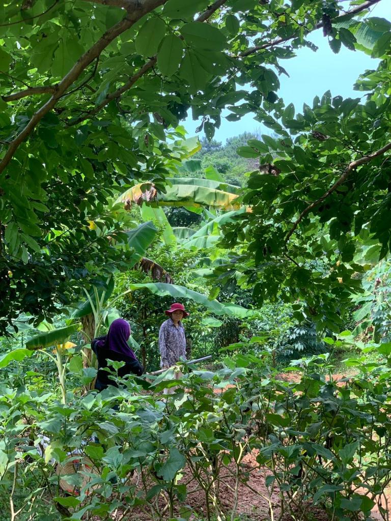 Xứ Sở La Vie Est Belle - Yoga and Meditation