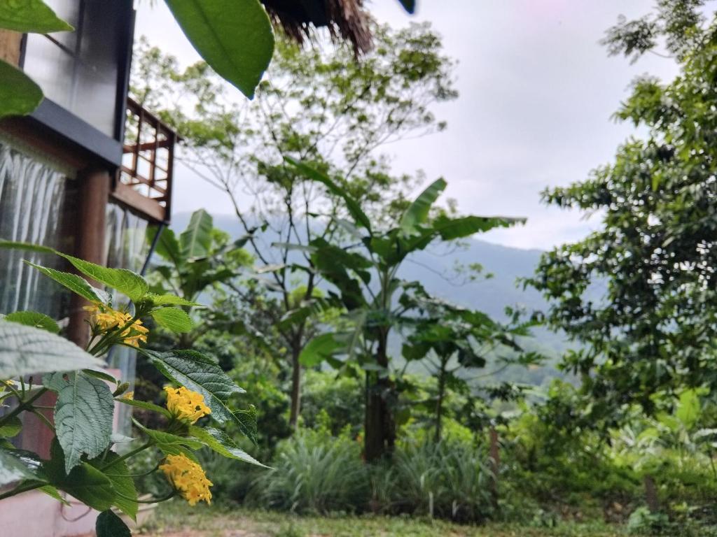 Xứ Sở La Vie Est Belle - Yoga and Meditation