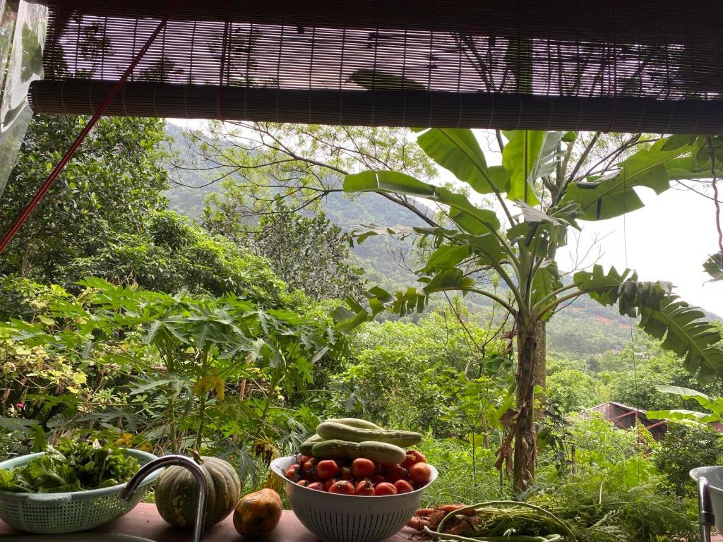 Xứ Sở La Vie Est Belle - Yoga and Meditation