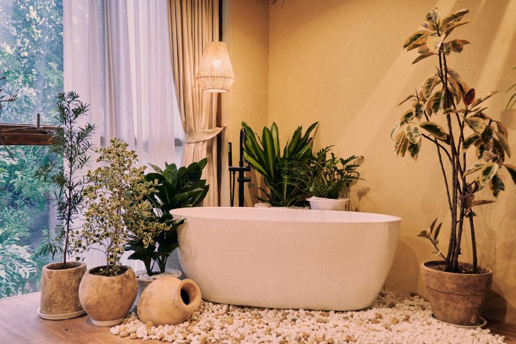 Chill Home & Spa