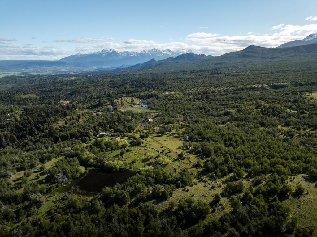 Tylluan Lodge photo 3